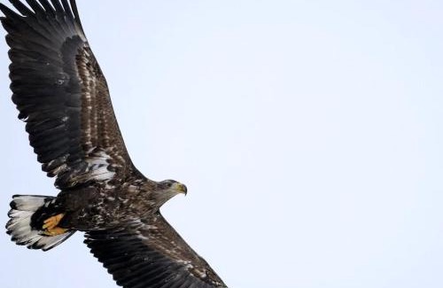 Trany House | Off-the-grid cabin on the island of Senja in northern Norway
