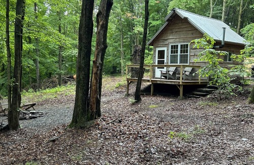 Morton Cabin | Off the grid private cabin on 40 acres! Peace and tranquility at its finest.