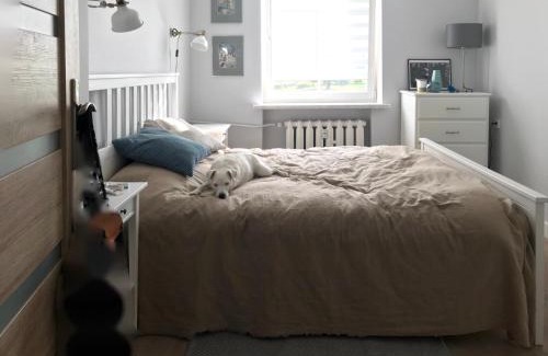 Zabor Apartment | Oficyna Winiarza