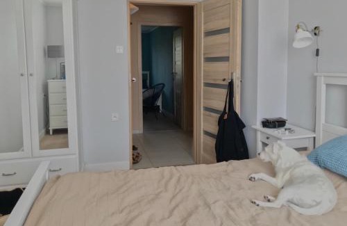 Zabor Apartment | Oficyna Winiarza