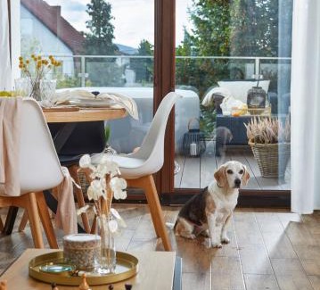 Cieplice Apartment | Oh Deer!