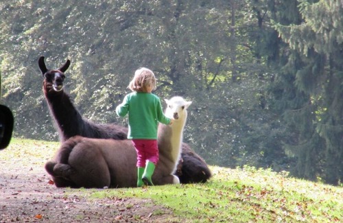 Herschbroich House | Old Castle Comfortable holiday residence