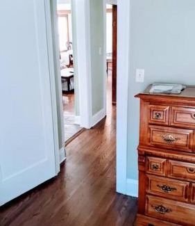 Minneapolis Apartment | Ole Sage Flat