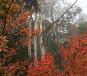 Olinda Apartment | Olinda Enchanted Tower Spa Gas Log Fire and Netflix