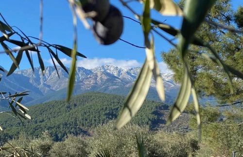 Arenas de San Pedro House | Olivar de Gredos