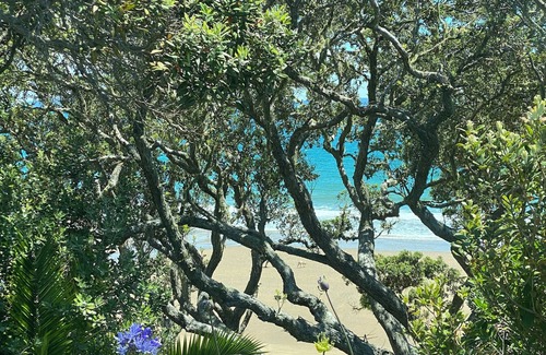 Mangonui Cottage | Olive press cottage