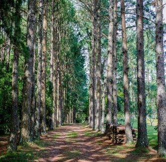 Viamao Bed & Breakfast | OM B&B + Spa