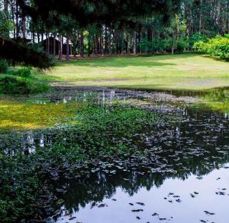 Viamao Bed & Breakfast | OM B&B + Spa