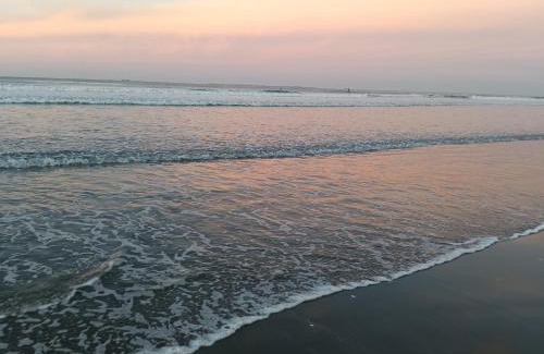 Mount Maunganui Bed & Breakfast | Omanu Cottage