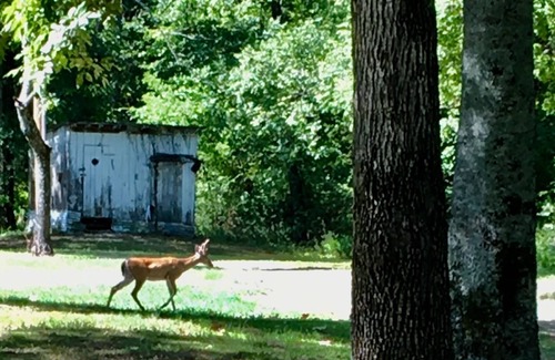 Tuskahoma Cabin | One of the Best You’ll Find! Peace & Quiet - Comfort & Charm;