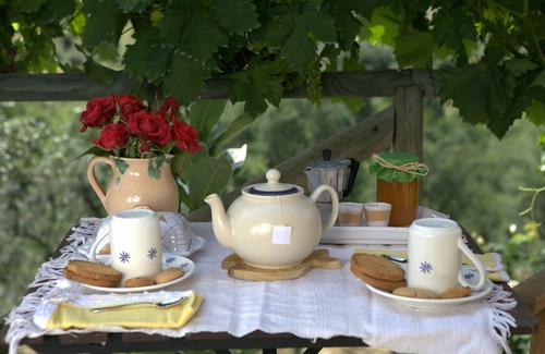 San Polo in Chianti Apartment | Open-space in Chianti, with private pool, a few km from Florence
