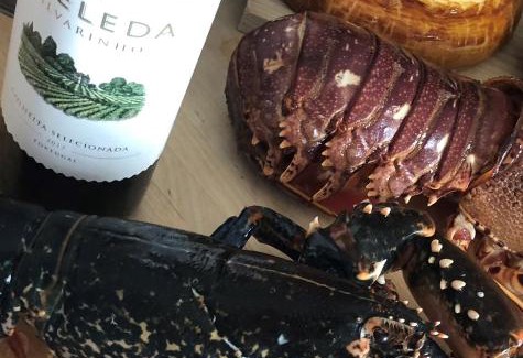 Campanha Boat Rental | Oporto Yacht