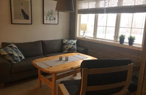 Oppdal Apartment | Oppdal Alpintun, Stølen øvre - ski in ski out