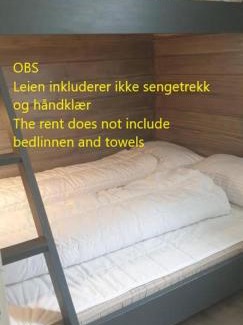 Oppdal Apartment | Oppdal Alpintun, Stølen øvre - ski in ski out