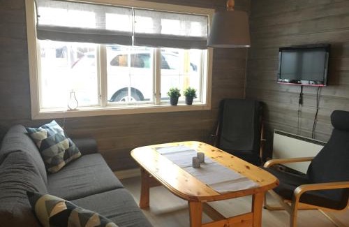 Oppdal Apartment | Oppdal Alpintun, Stølen øvre - ski in ski out