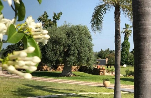 Floridia Villa | Orange house with large park and swimming pool.