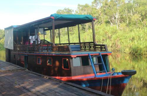 Pangkalan Bun Boat Rental | Orangutan Houseboat Park Tanjung Puting