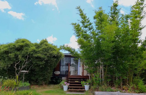 Valdora Cottage | Orchard Cottage on Sunshine Coast organic farm just 10 minutes from the beach