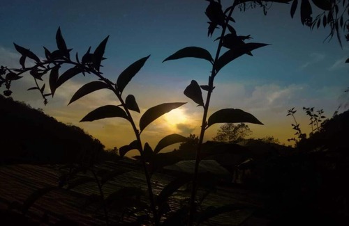 Turuk Other | Organic village life homestay , spend your vacation in peaceful environment