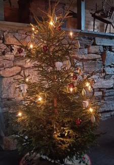 Torheim House | Orheimstunet - Gårdsferie for storfamilien der også hunden er velkommen