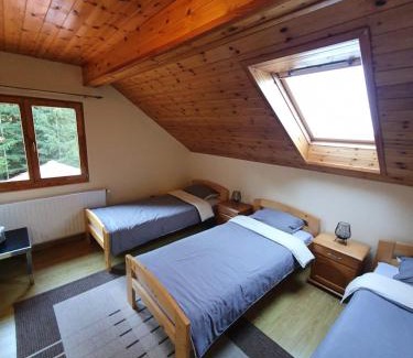 Joseni House | Orion