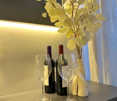 Plano Diretor Sul Apartment | Orla de Palmas | Luxo com Vista para o Lago