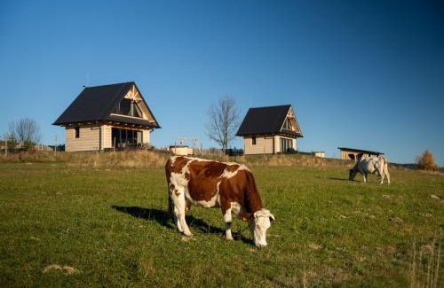 Klikuszowa Ski Chalet | Osada Janosika Jacuzzi Drewniany Domek Na Odludziu