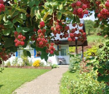 Cisna Cabin | Osada Leonówka Bieszczady