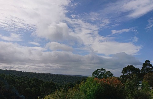 Lorne Cottage | Otway treetop cottage, emersed in nature, drive to the beach