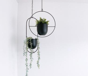 Hiroshima City Centre Apartment | OUCHI HOTEL Kanayama-cho with Dogs