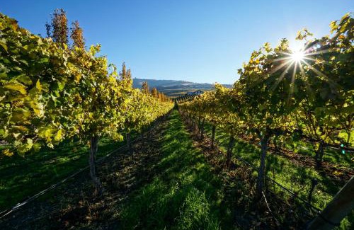 Chelan House | Our View Point