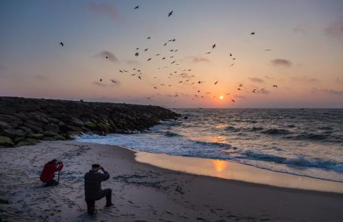 Ovar Apartment | Ovar Apartments