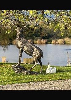 Fulford Other | Owls Retreat, Meadowview House