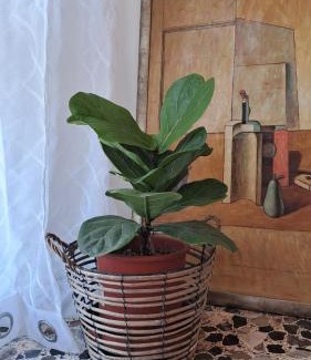 Crocetta-San Lazzaro-Modena Est Bed & Breakfast | Oxi