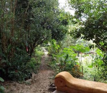 Igatu House | Pátio FlorAção