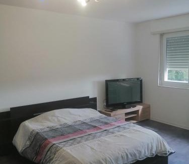 Illzach Apartment | P' TI ECRIN DE VERDURE