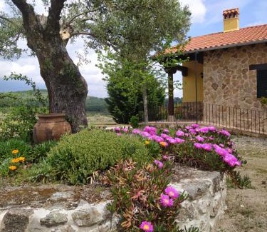 Cuacos de Yuste Apartment | Pago de Yuste - Casa Rural Apartamentos