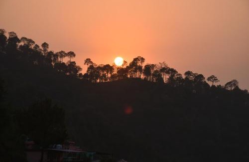 Kasauli Apartment | Palm Tree Paradise Retreat