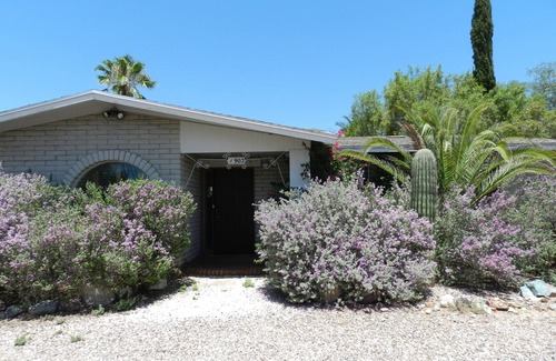 Rancho Feliz House | Palm trees, pool in Northwest Tucson next to Catalina mountains, Southwest shops