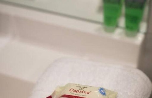 Little Italy Apartment | Palms Little Italy Studio with full bathroom by Denstays