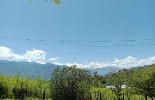 Soata Other | PALO ALTO Soatá