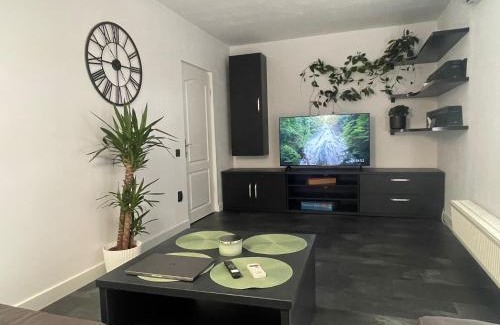 Cluj-Napoca Apartment | Panda Apartment Zorilor