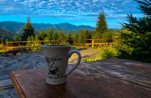 Pamporovo Apartment | Panorama View-Stoykite