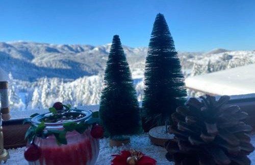 Pamporovo Apartment | Panorama View-Stoykite