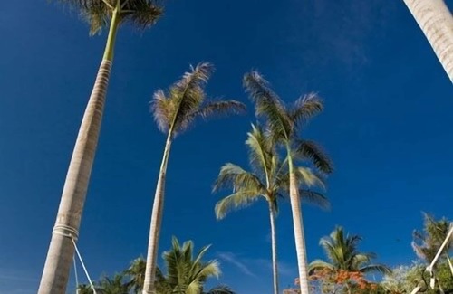 Emiliano Zapata Condo | Panoramic Oceanview, Luxury Condo 3 bd, 3bath on the beach.
