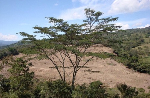 Saboya House | Paradise, beauty and comfort in a rural place