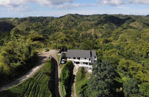 Mason Hall Apartment | Parakeet Hideaway - Spacious Eco Retreat with Breathtaking Mountain Views