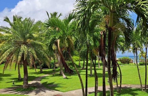 Anse des Rochers Apartment | Parenthèse Créole