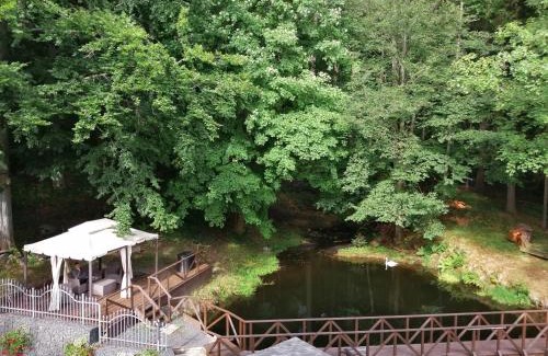 Marianske Lazne Hotel | Parkhotel Forest