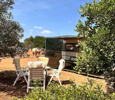 Lagos House | Pauls caravan for 4 - See the horses from your bed